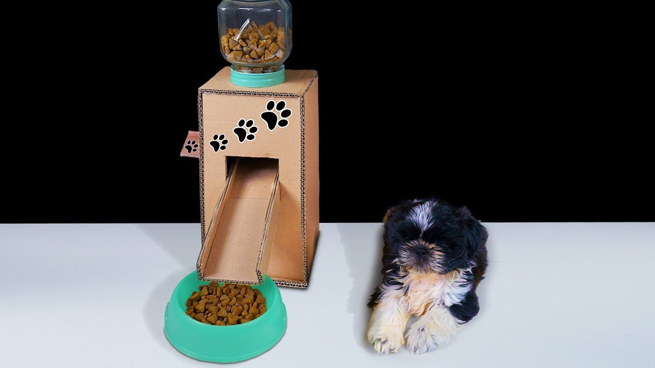 Dog Treat Dispenser DIY
 DIY Puppy Dog Food Dispenser from Cardboard at Home