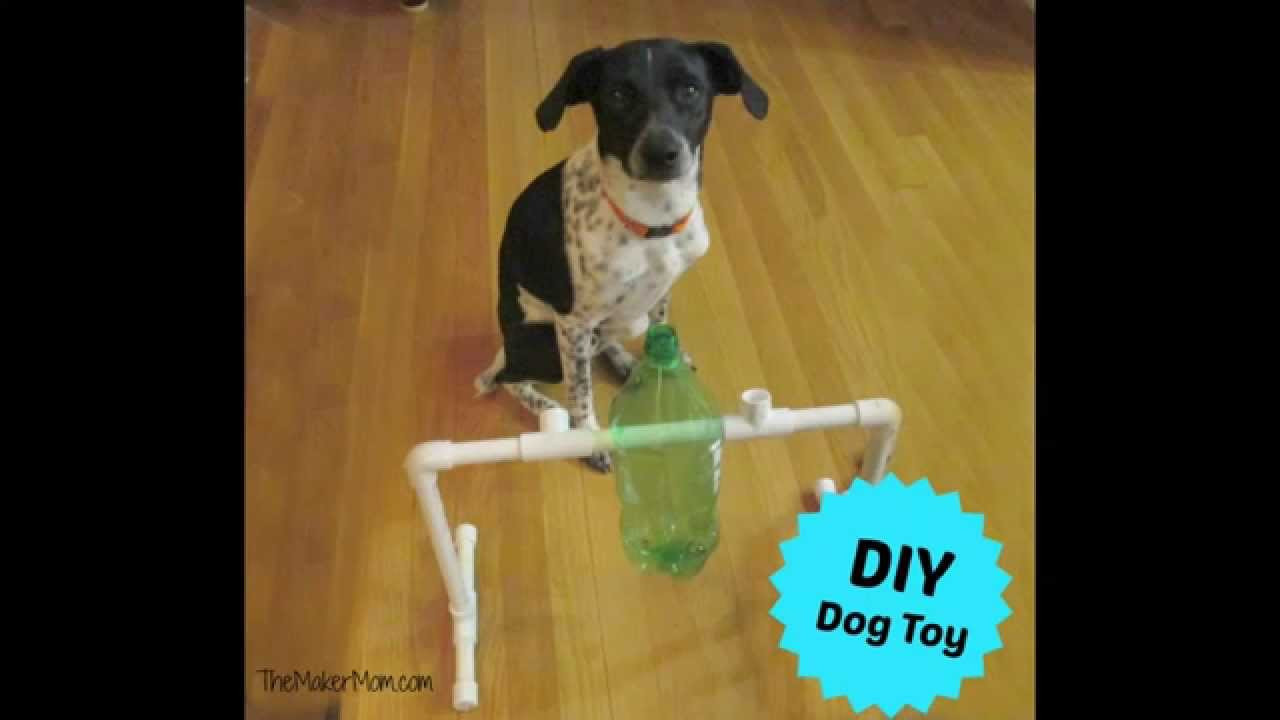 Dog Treat Dispenser DIY
 Fun DIY Dog Toy and Treat Dispenser