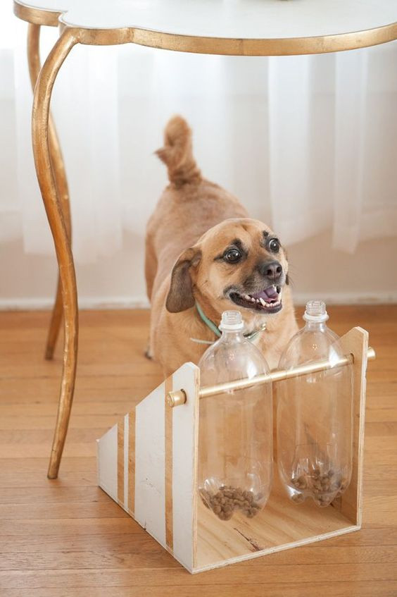 Dog Treat Dispenser DIY
 DIY Treat Dispenser PAW2014