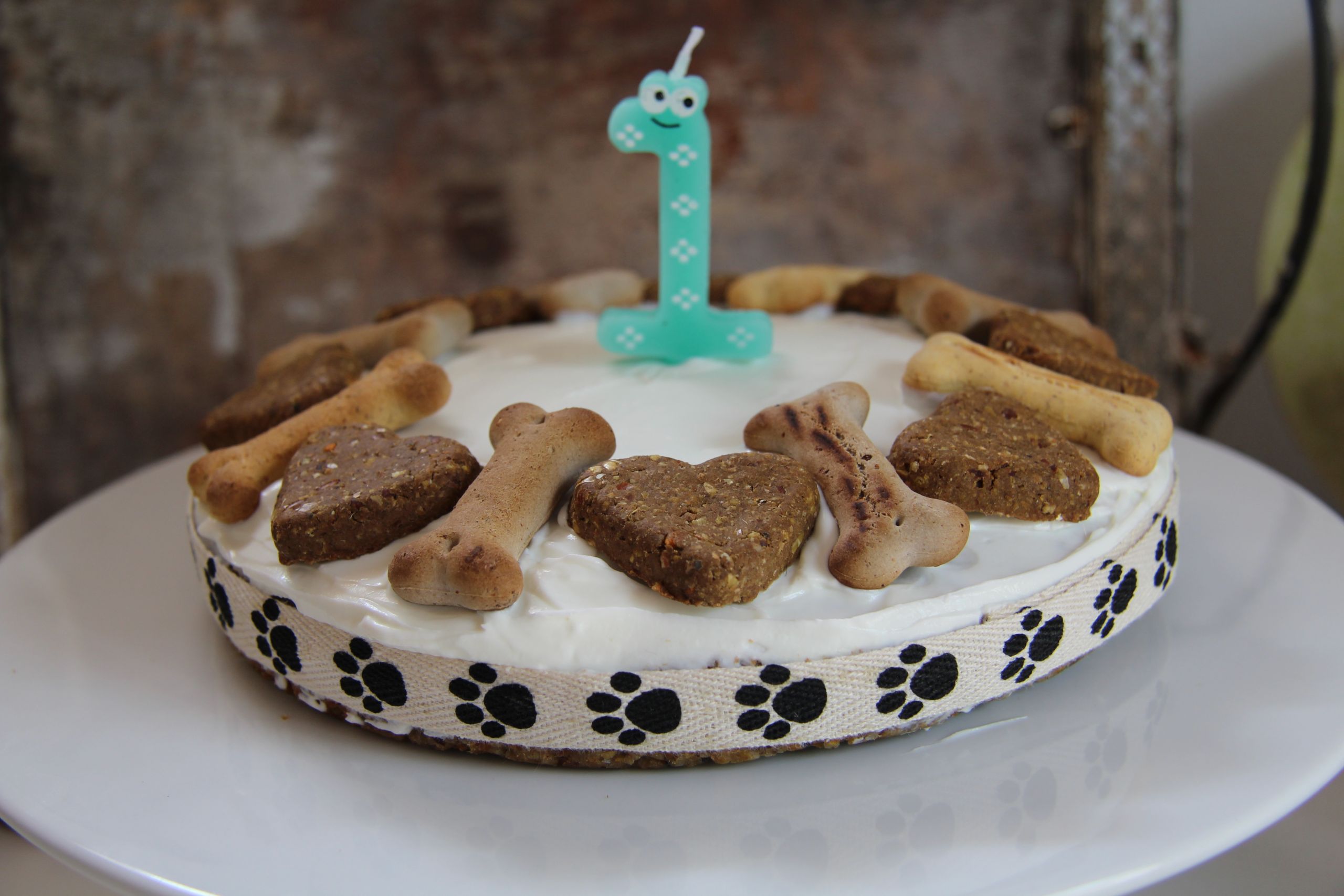 Dog With Birthday Cake
 LoveFoodIbiza Couscous Carrot Birthday Cake for dogs