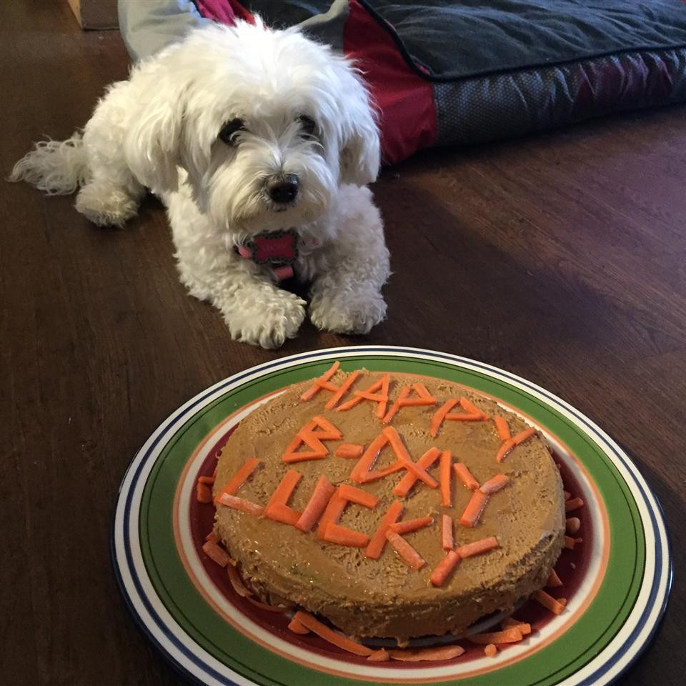 Doggie Birthday Cake Recipes
 Doggie birthday cake recipe All recipes UK