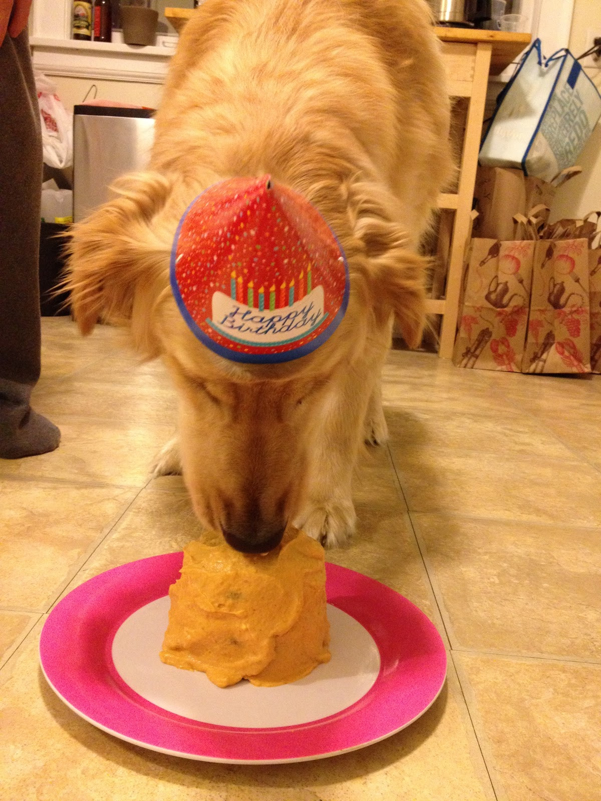 Doggy Birthday Cake
 dog birthday cake