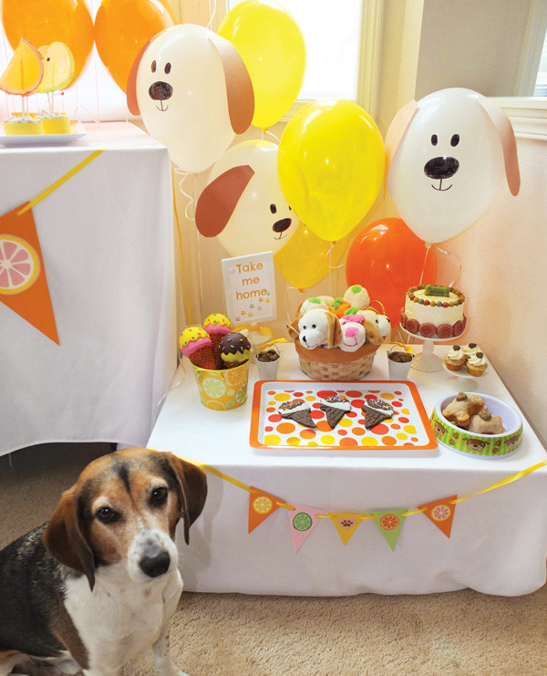 Doggy Birthday Party
 Dog Days of Summer Puppy Party Party on a Dime 1