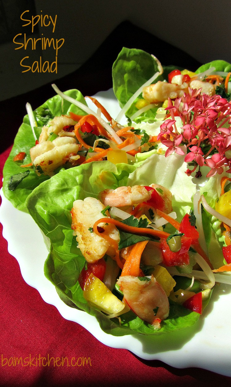 Dressing For Shrimp Salad
 Spicy Shrimp Salad with Cilantro Lime Dressing Healthy