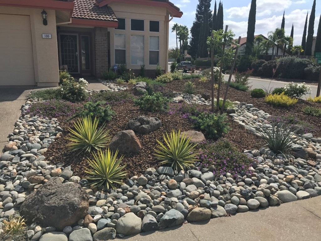 Drought Tolerant Backyard Landscapes
 CUSTOM PLANTINGS Premium Landscape Makeovers