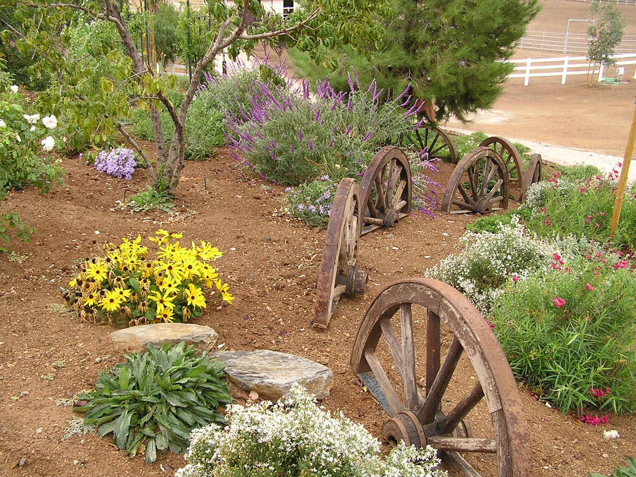 Drought Tolerant Backyard Landscapes
 landscaping southern CA Google Search