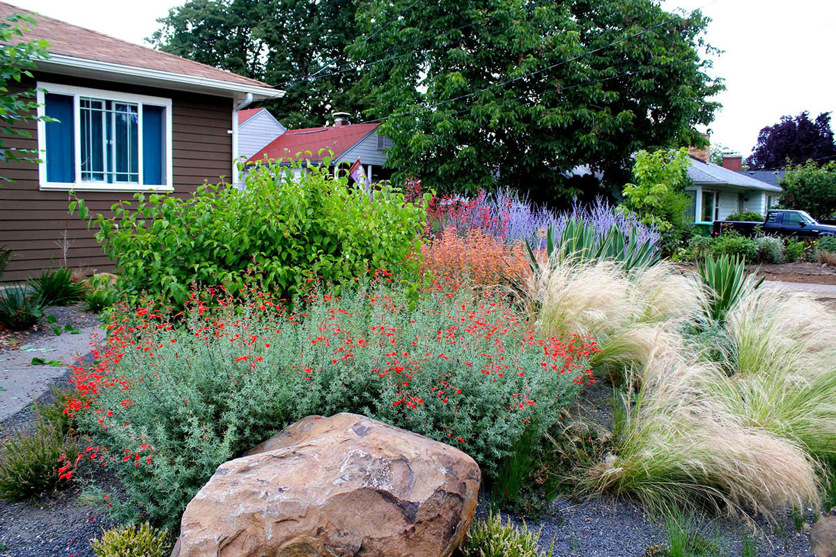 Drought Tolerant Backyard Landscapes
 Drought Tolerant Garden with Gravel – Creative Landscapes