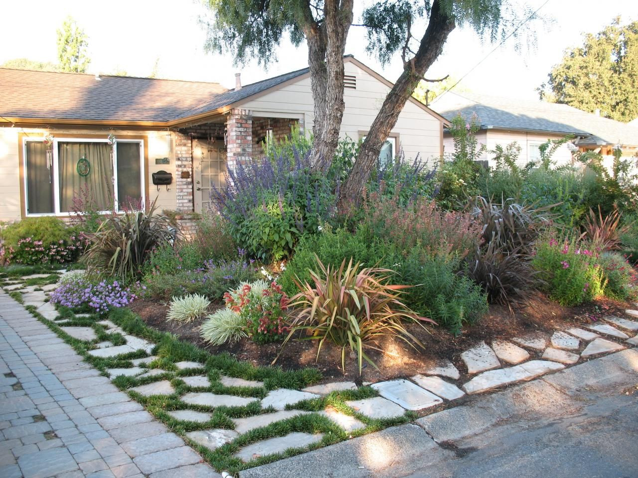 Drought Tolerant Backyard Landscapes
 Plantworld Before and After s ALAMO RESI…