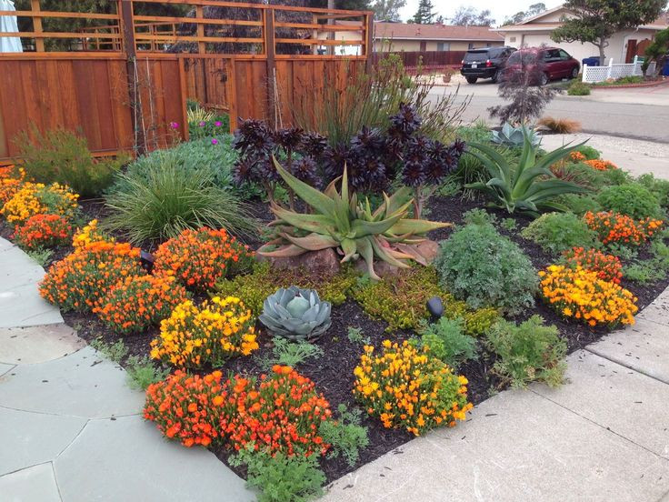 Drought Tolerant Backyard Landscapes
 Save Water with Stunning Drought Resistant Landscaping