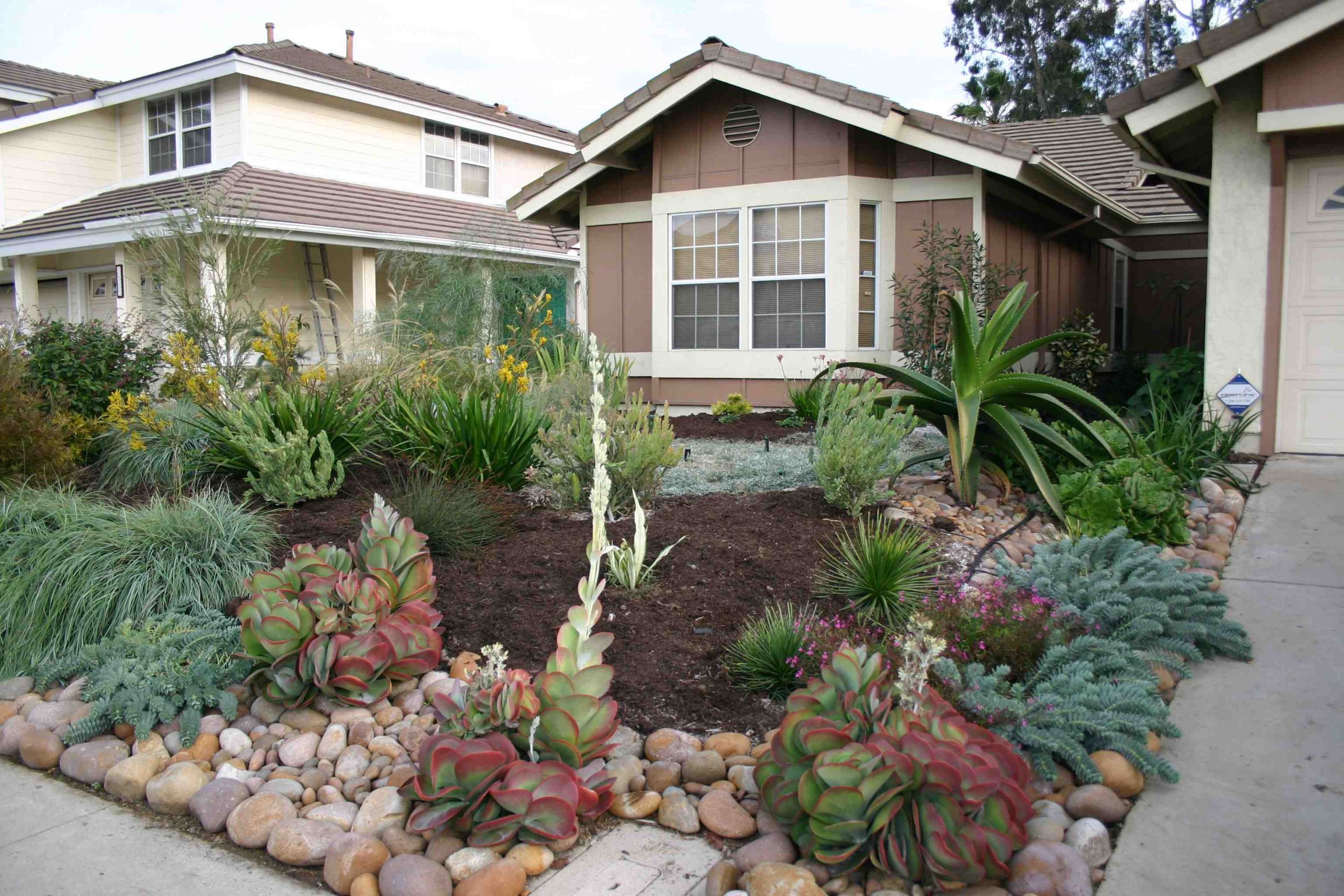 Drought Tolerant Backyard Landscapes
 Serious Rebates Available for California Friendly