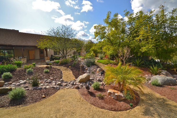 Drought Tolerant Backyard Landscapes
 affordable drought tolerant landscaping for a large