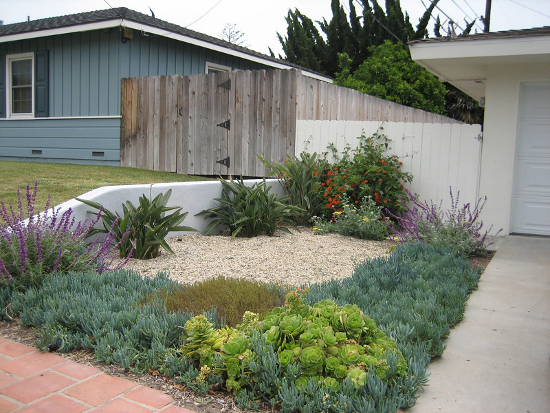 Drought Tolerant Landscape Design
 Drought Tolerant Landscape Design Gallery