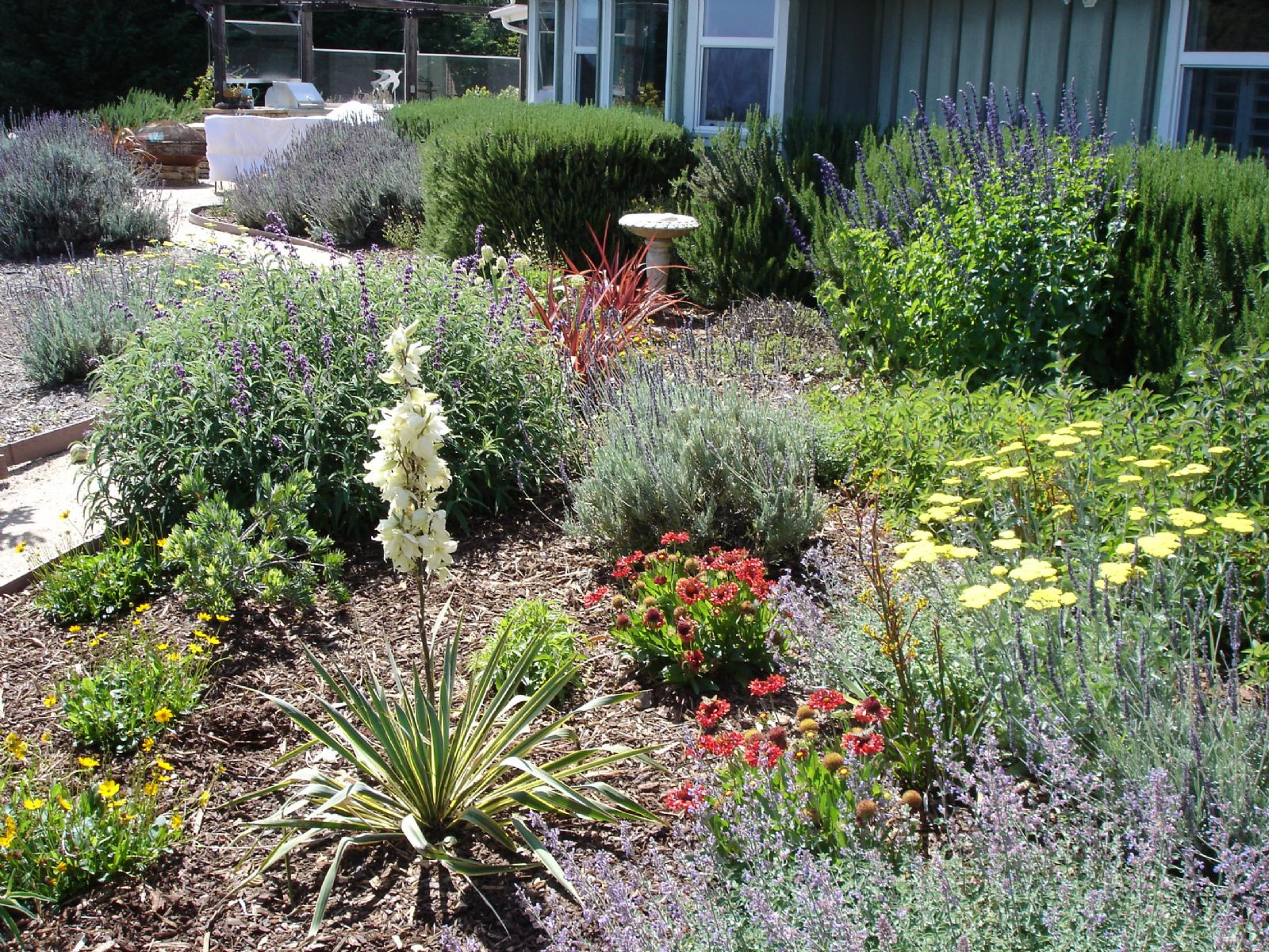 Drought Tolerant Landscape Design
 High Quality Drought Landscaping Ideas 9 Drought Tolerant