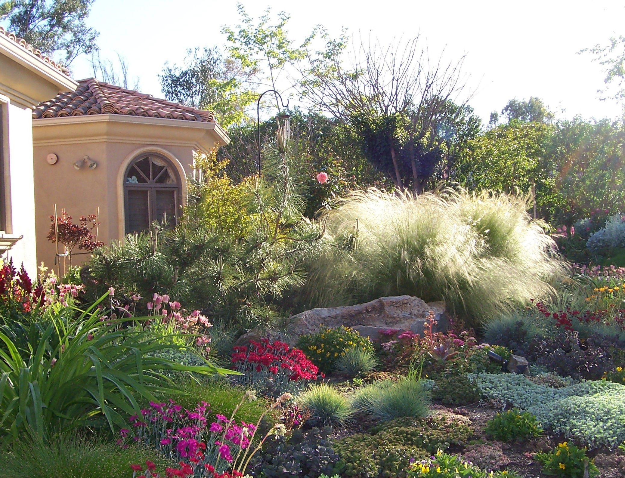 Drought Tolerant Landscape Design
 Make Simple Fresh and Modern Drought Tolerant Landscaping