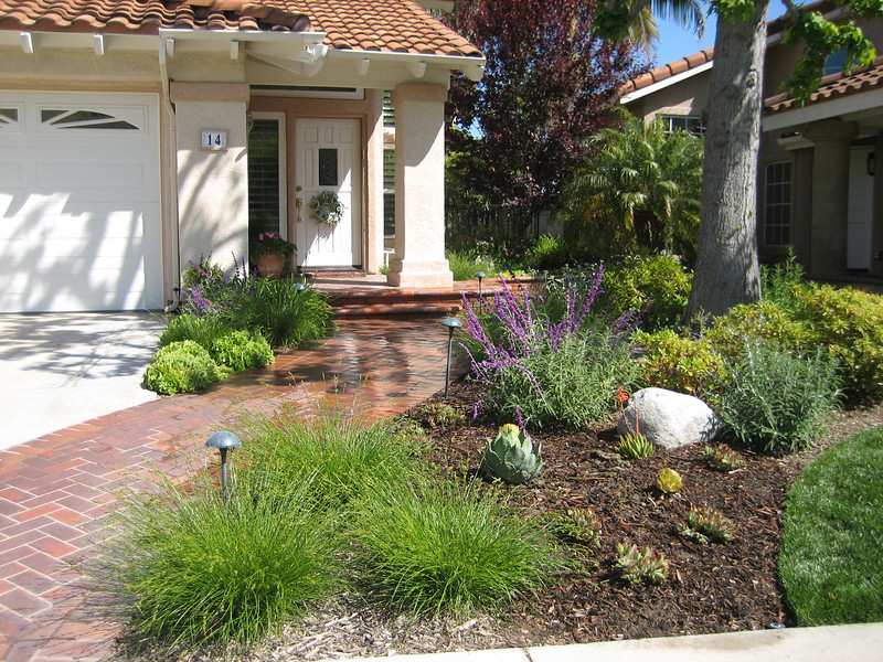 Drought Tolerant Landscape Design
 Drought Tolerant Landscape Design Gallery