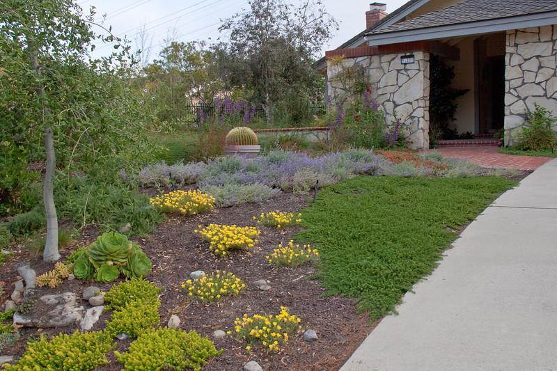 Drought Tolerant Landscape Design
 Drought Tolerant Landscape Design Gallery