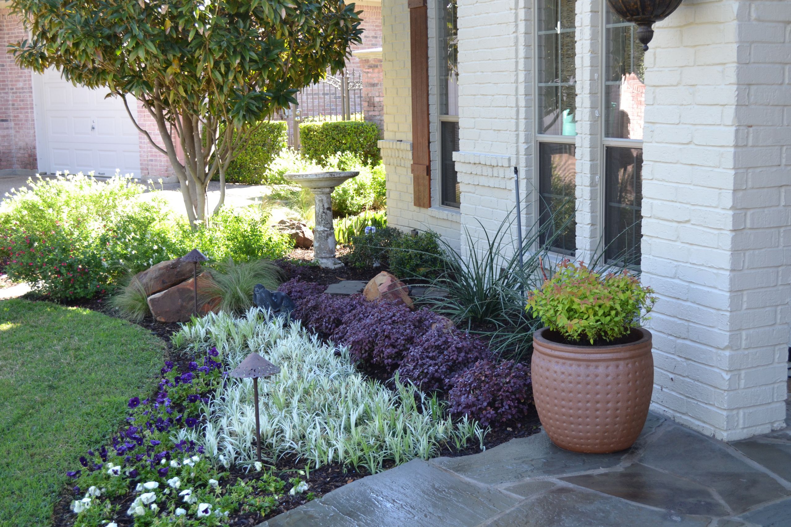 Drought Tolerant Plants Landscape Design
 drought tolerant plants