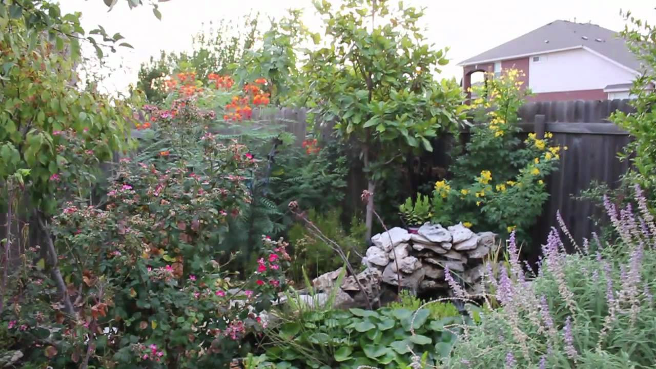 Drought Tolerant Plants Landscape Design
 Lisa s Landscape and Design Drought Tolerant Plants Part