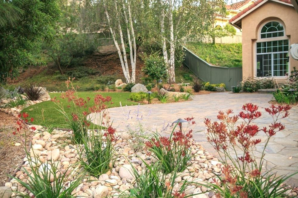 Drought Tolerant Plants Landscape Design
 Drought Tolerant Landscape Ideas Plants California