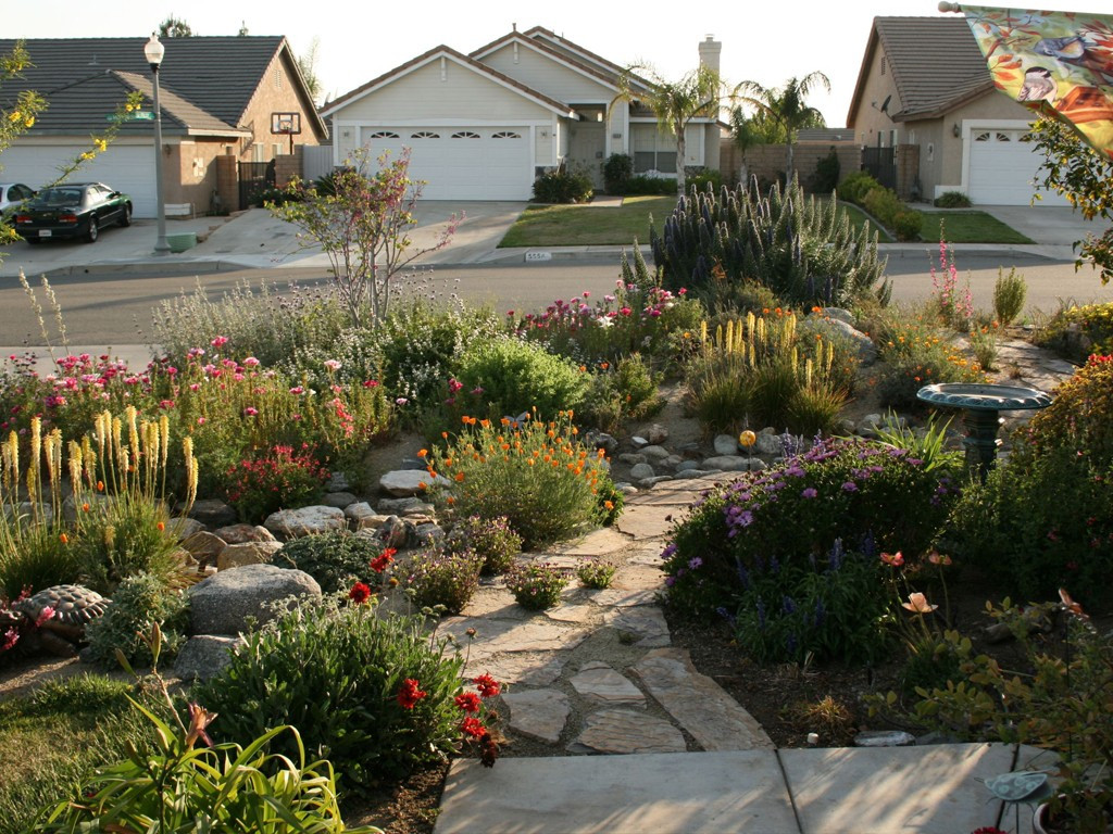 Drought Tolerant Plants Landscape Design
 Make Simple Fresh and Modern Drought Tolerant Landscaping