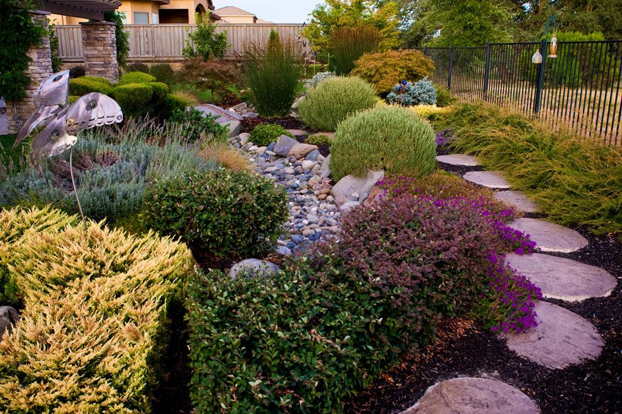 Drought Tolerant Plants Landscape Design
 Plants for Landscaping Landscaping Network