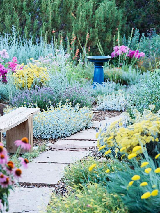 Drought Tolerant Plants Landscape Design
 Drought Resistant Landscapes for the Sacramento Area