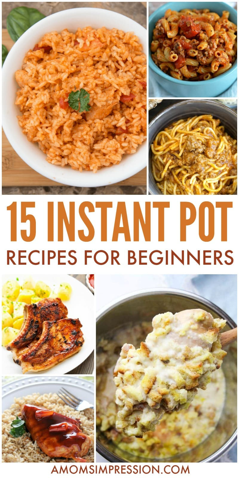 Easiest Instant Pot Recipes
 15 Easy Instant Pot Recipes for Beginners A Mom s Impression