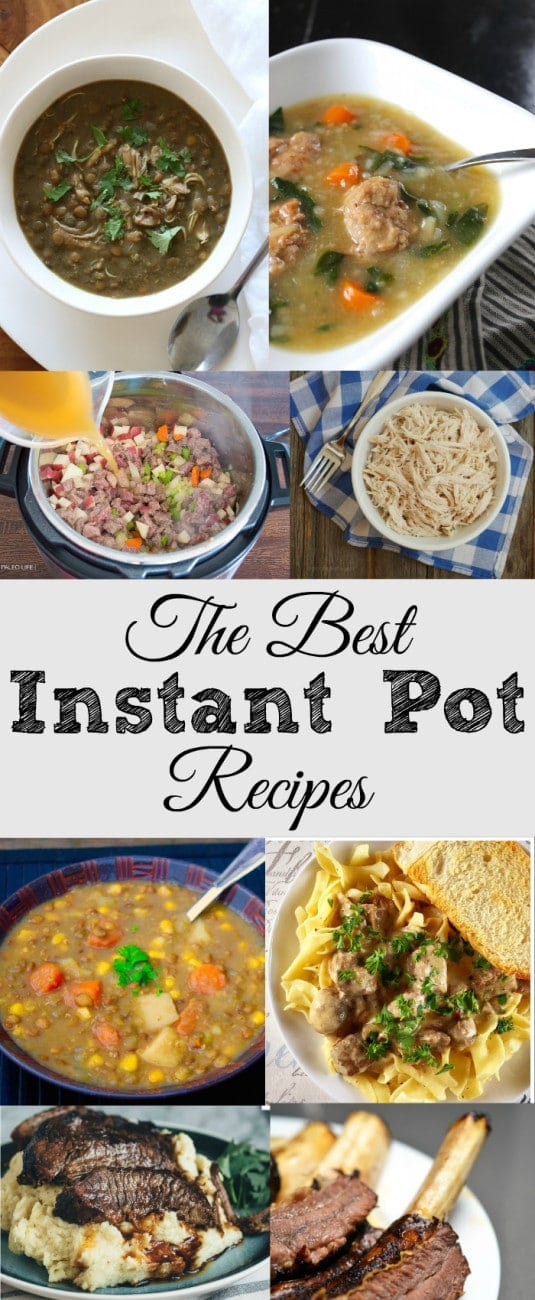 Easiest Instant Pot Recipes
 The best instant pot recipes · The Typical Mom