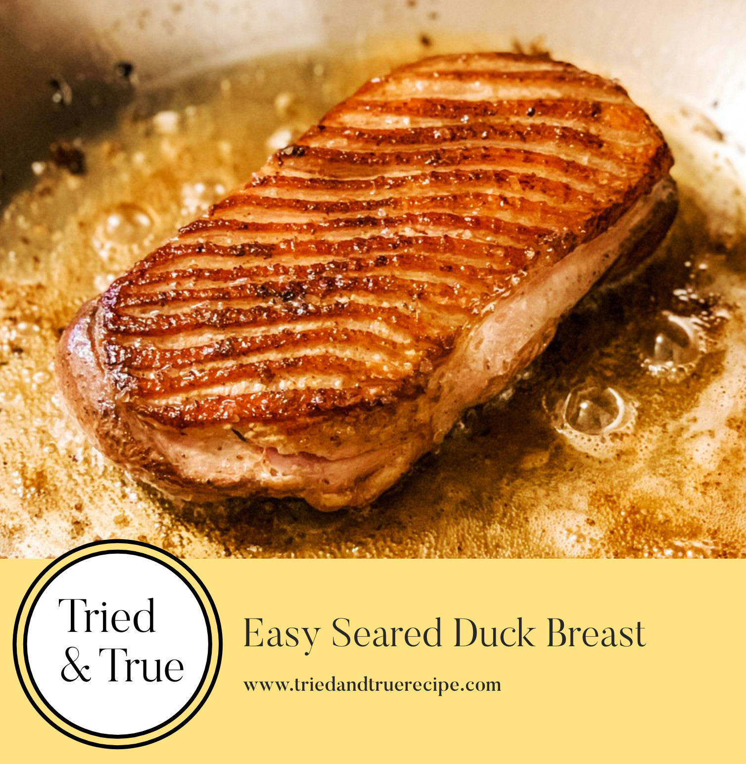 Easy Duck Breast Recipes
 Easy Seared Duck Breast