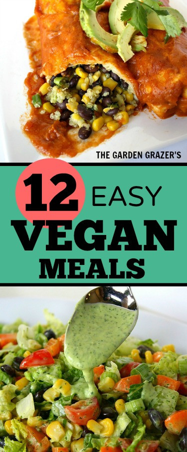 Easy Kid Friendly Vegetarian Recipes
 23 Ideas for Easy Kid Friendly Ve arian Recipes Best