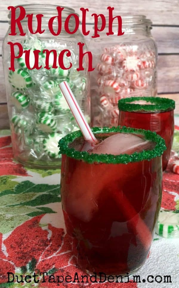 Easy Kids Punch Recipes
 Rudolph Punch My Kids Favorite Easy Christmas Punch