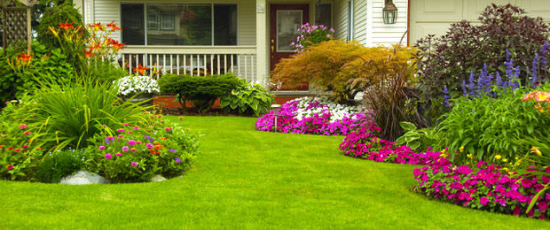 Easy Outdoor Landscape
 7 Easy Ideas to Create a Beautifully Landscaped Yard