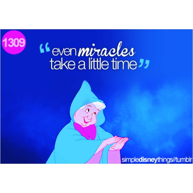 Fairy Godmother Quotes
 Fairy Godmother From Cinderella Quotes QuotesGram