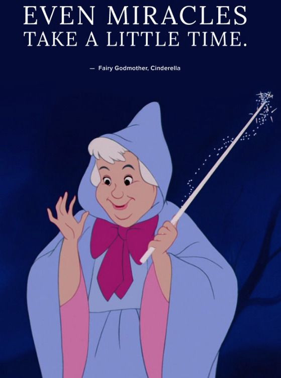Fairy Godmother Quotes
 Top 24 Quotes From Disney Movies