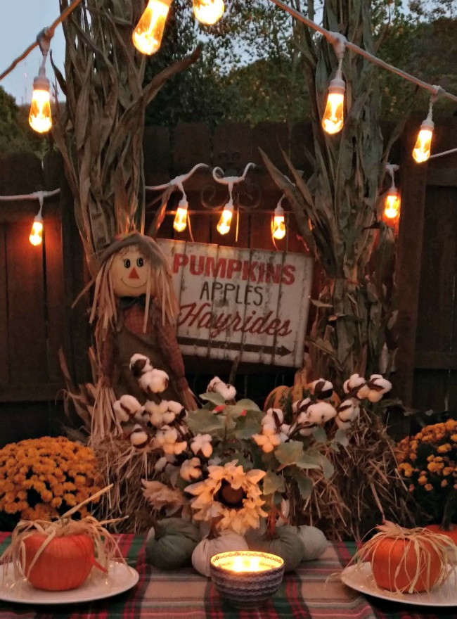 Fall Backyard Party Ideas
 4 Tips for an Outdoor Fall Party This Girl s Life Blog