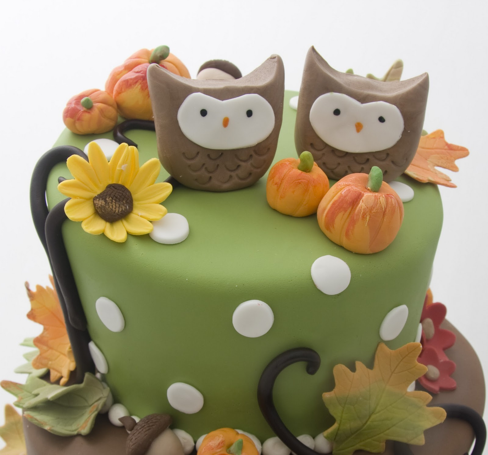 Fall Birthday Cake
 The Crimson Cake Blog Twin Owl Fall Birthday Cake