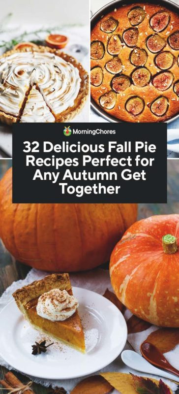 Fall Pie Recipes
 32 Delicious Fall Pie Recipes Perfect for Any Autumn Get