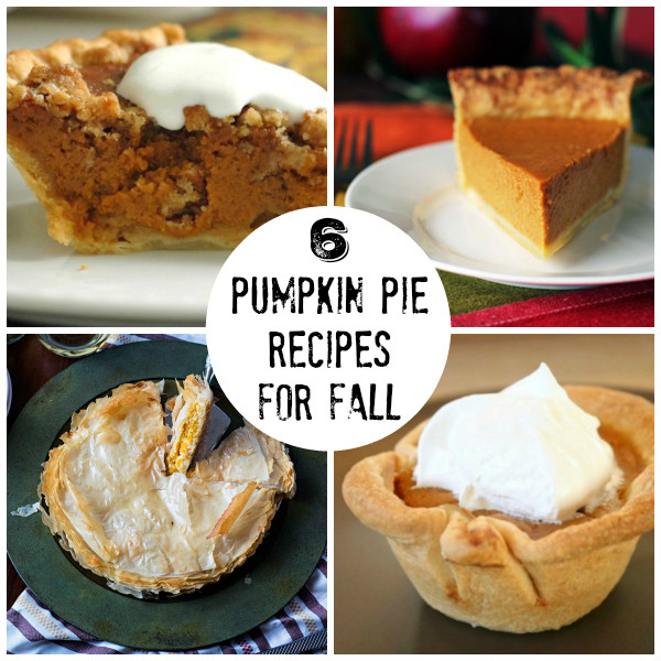 Fall Pie Recipes
 6 Pumpkin Pie Recipes for a Fall Favorite Dessert