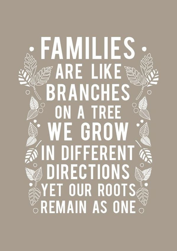 Family Is Important Quote
 Family Quotes 167 Short Love My Family Sayings