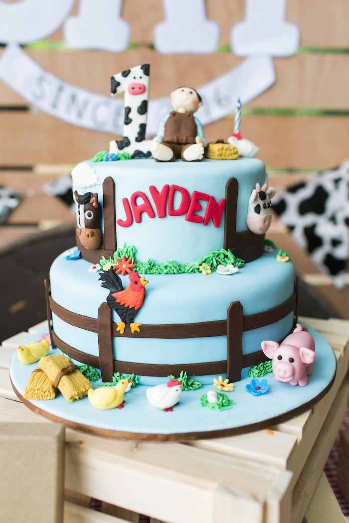 Farm Birthday Cakes
 Kara s Party Ideas Down at the Farm Birthday Party