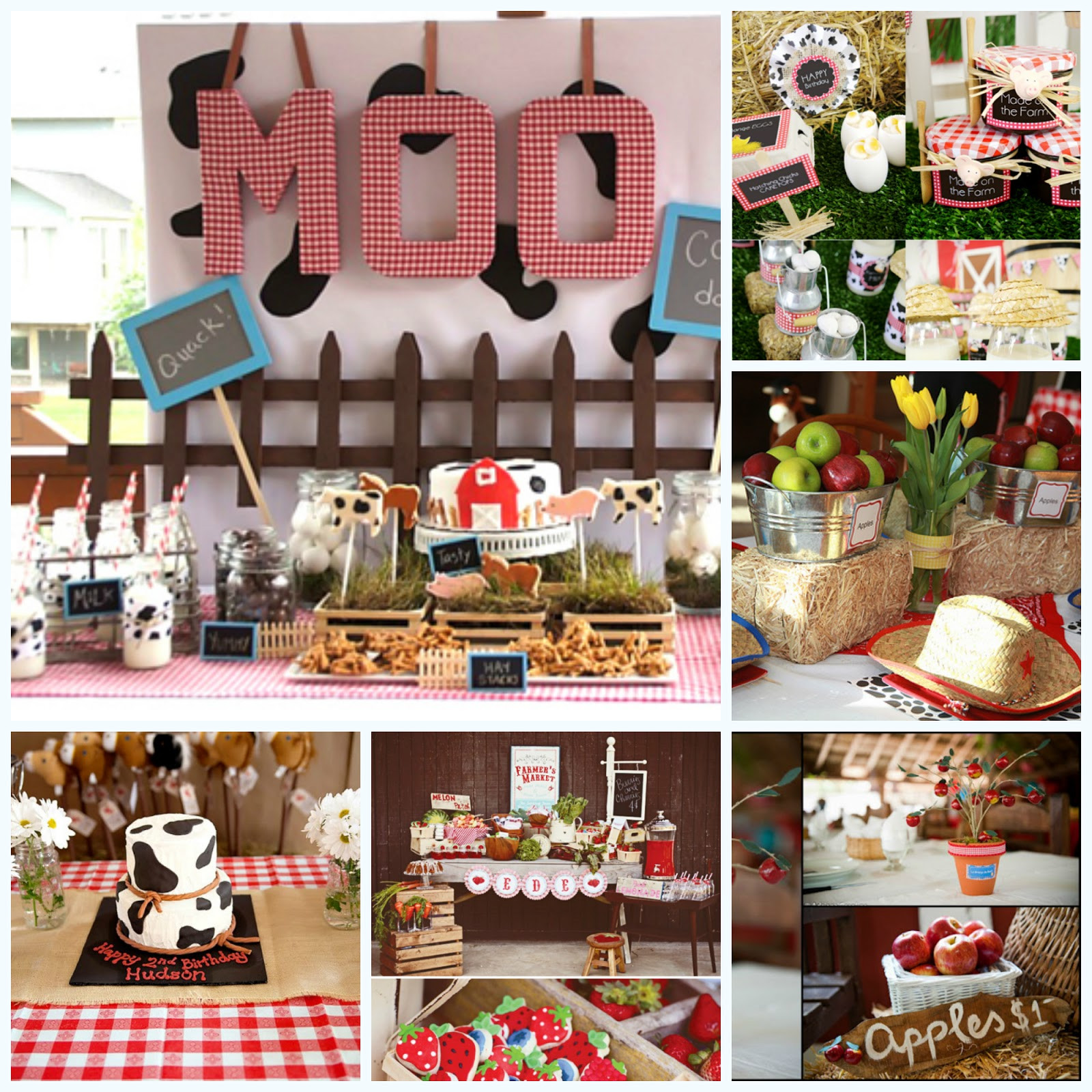 Farm Birthday Party Decorations
 Farm Birthday Party Inspiration