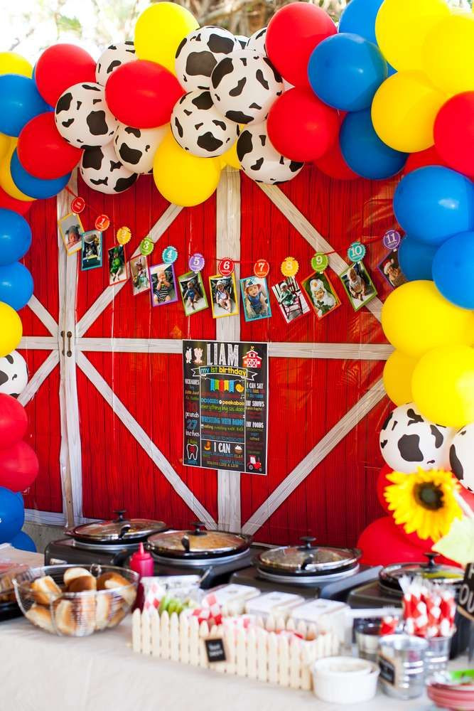 Farm Birthday Party Decorations
 693 best 1st Birthday Party Ideas images on Pinterest