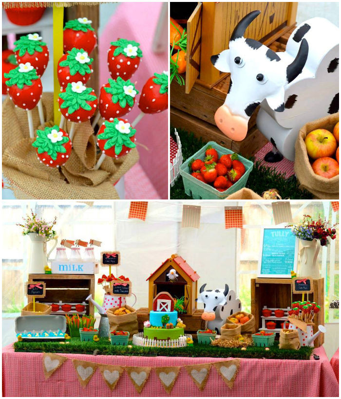 Farm Birthday Party Decorations
 Kara s Party Ideas Farm Barnyard themed birthday party