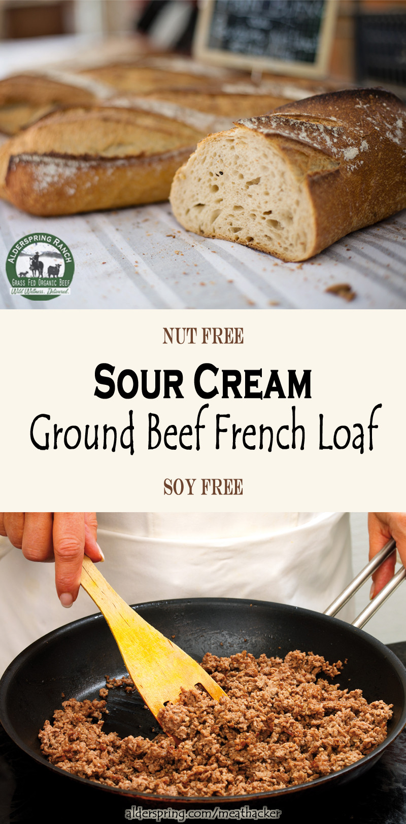 Fast Ground Beef Recipes
 Quick Ground Beef Recipes Sour Cream Ground Beef French