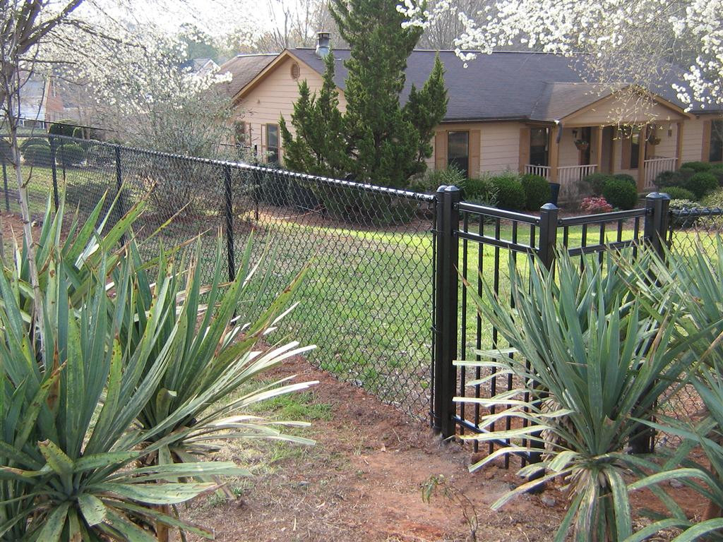 Fence Pictures For Backyard
 Backyard Fence Decorating Ideas with a Chain link Fence