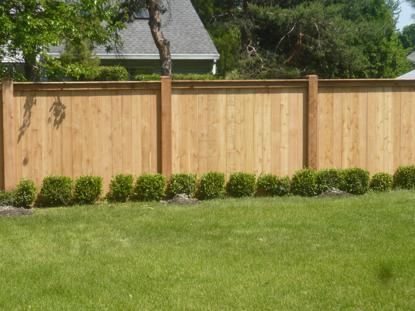 Fence Pictures For Backyard
 Dreams and Epiphanies Backyard Fence Before and