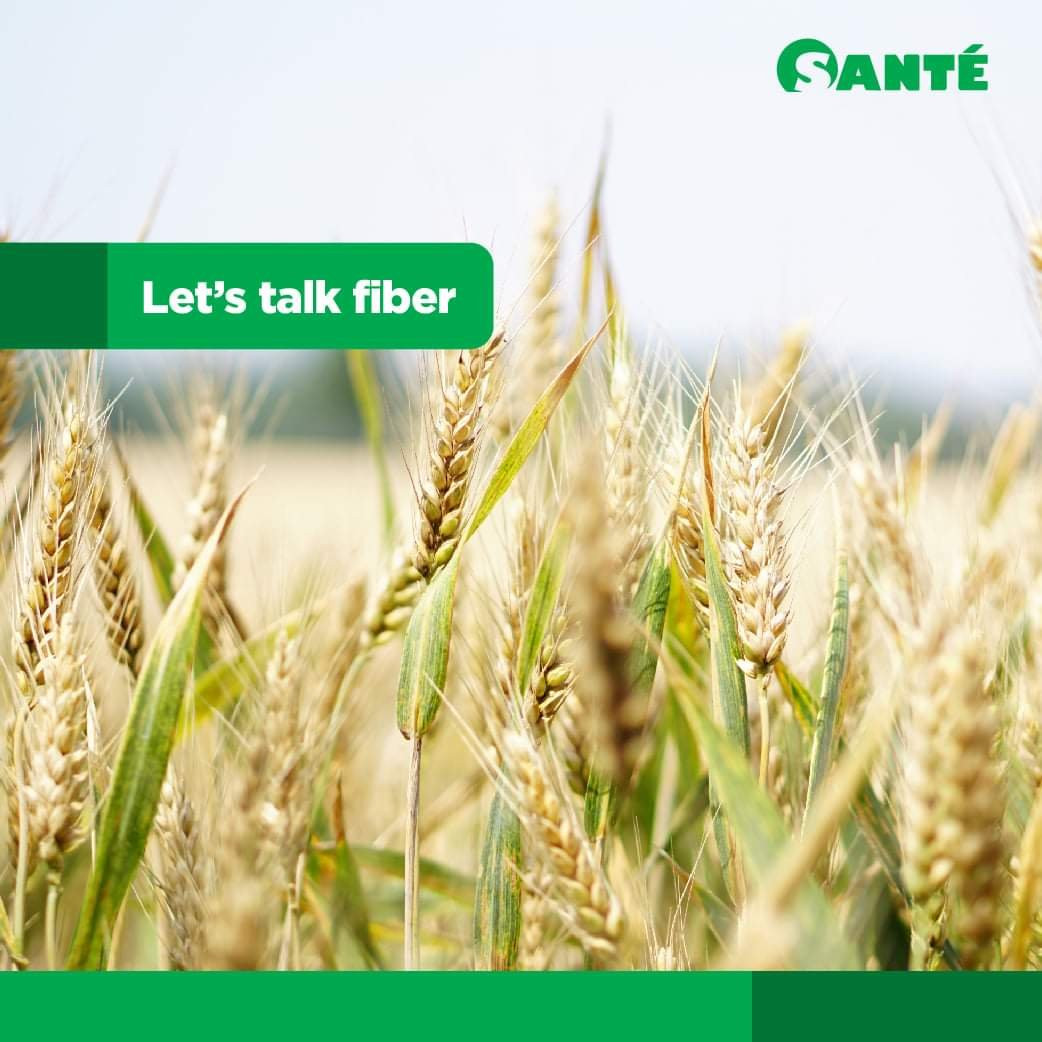 Fiber In Barley
 Benefits of Fiber in our Body – Pure Barley Solution