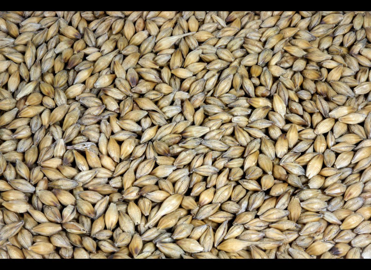 Fiber In Barley
 High Fiber Foods Barley It may be best known as a raw