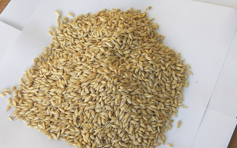 Fiber In Barley
 10 Unusual Carbohydrates You ve Probably Never Eaten