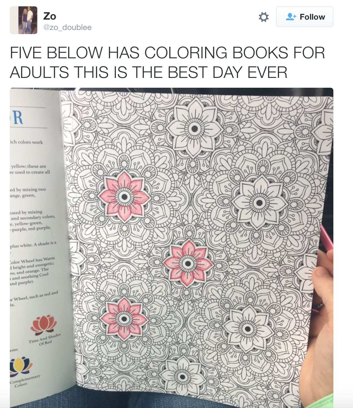 Five Below Adult Coloring Books
 Shopkins And Adult Coloring Books Likely To Drive Strong